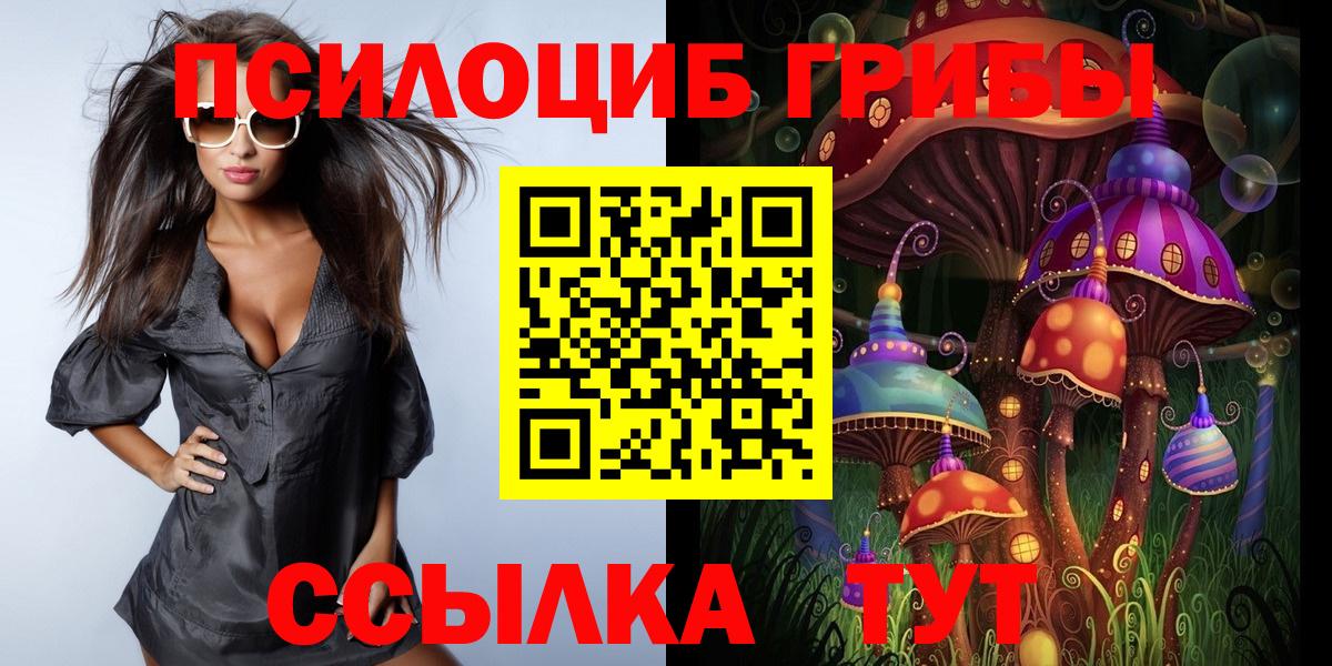 Боровичи  Галлюциногенные грибы GOLDEN TEACHER  Галлюциногенные грибы прущие грибы  Вход с VPN 